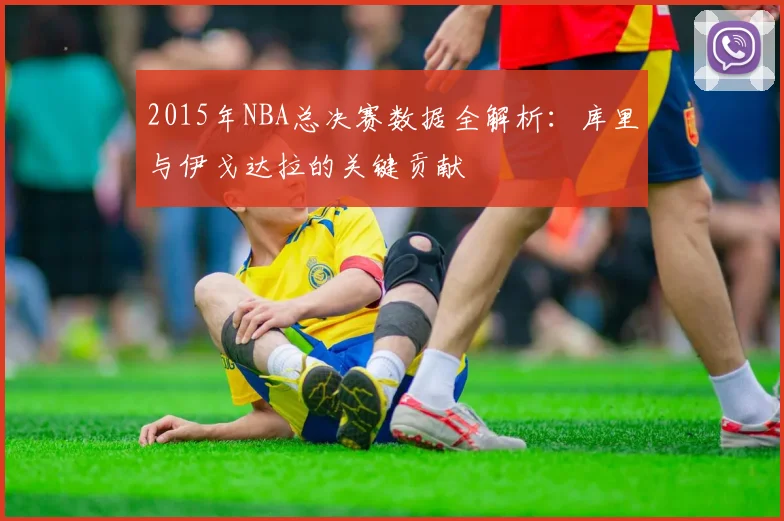2015年NBA总决赛数据全解析：库里与伊戈达拉的关键贡献
